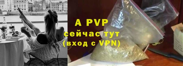 шишки Абинск