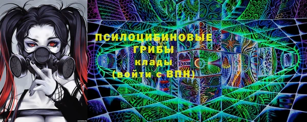 шишки Абинск