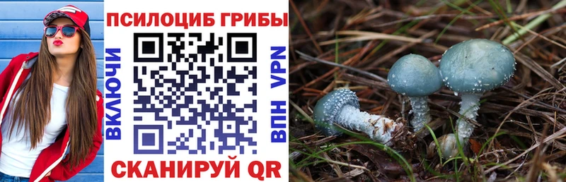 Псилоцибиновые грибы Magic Shrooms  kraken ссылки  даркнет Telegram  Котельнич 